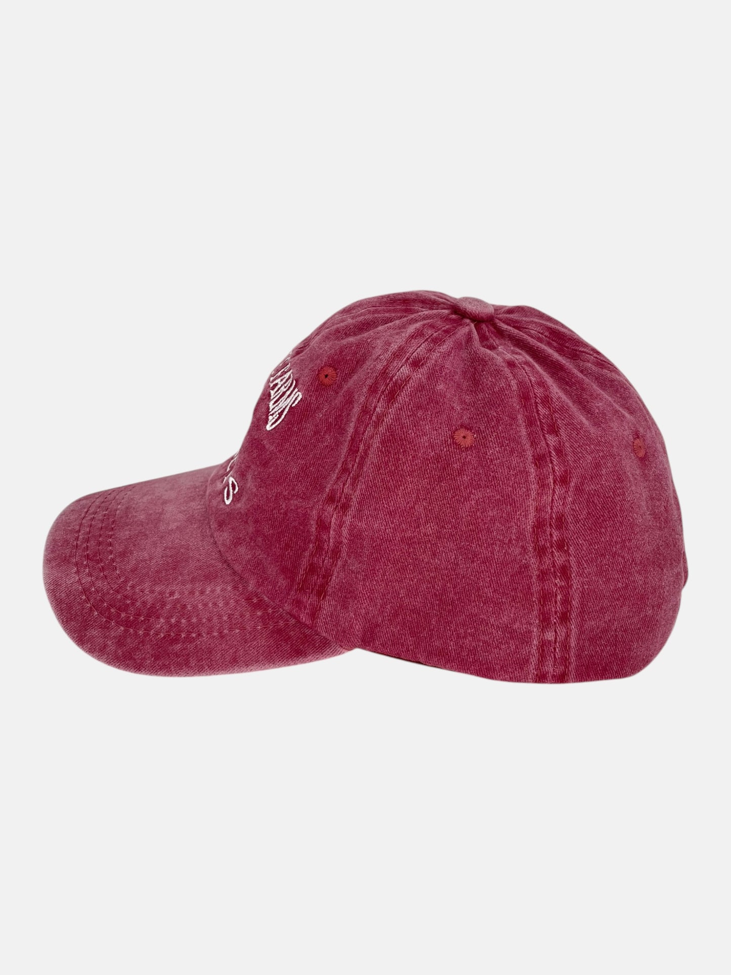 90's Shrute Farms Beets Embroidered Vintage Cap